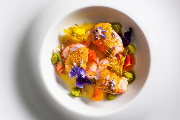 5 Best Restaurants for Sea Urchin (Uni) Dishes in KL