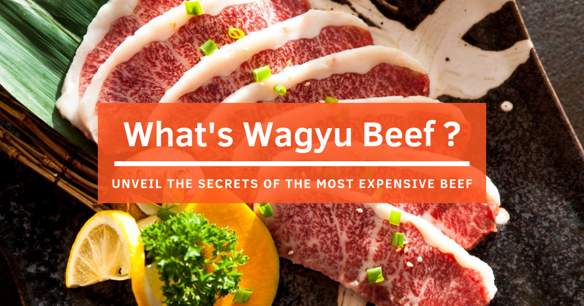 Wagyu Beef Unveiling The Secrets of The Most Expensive Beef in The World!