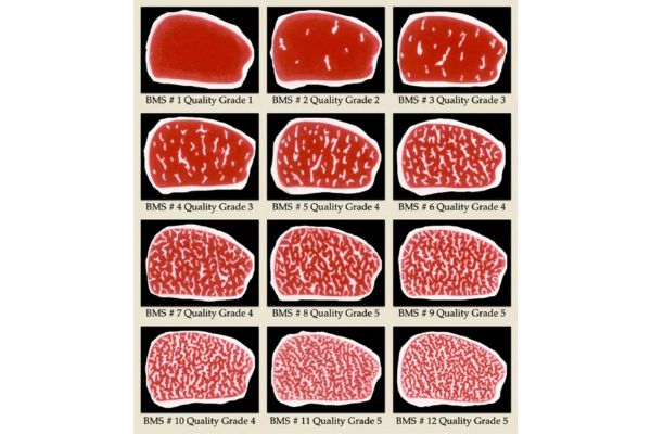 Click to view The Wagyu Meat Grading Chart