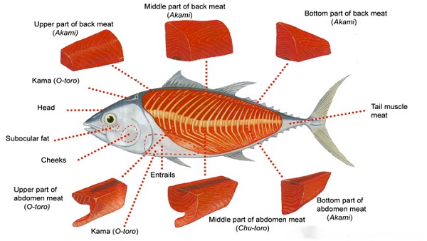 View Types of Bluefin Tuna Sashimi Including Akami, Ootoro and Chutoro Here