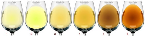 View White Wine Colour Chart